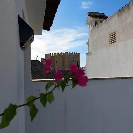 Tower Galata Cordoba